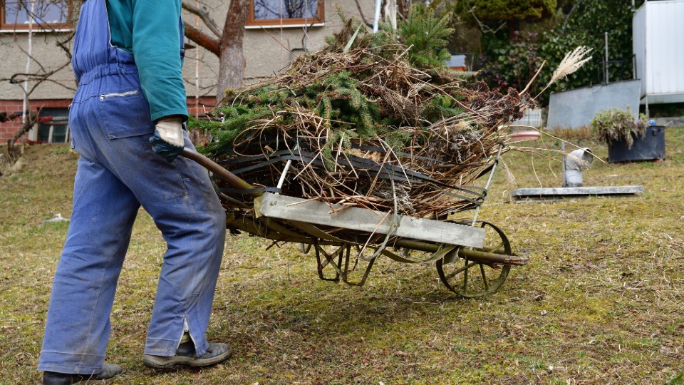 professional lawn care and bush landscaping in seekonk ma