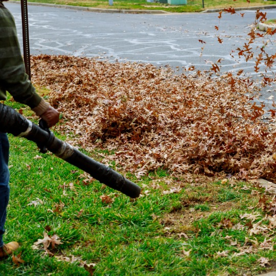 leaf clean up for fall home in taunton ma