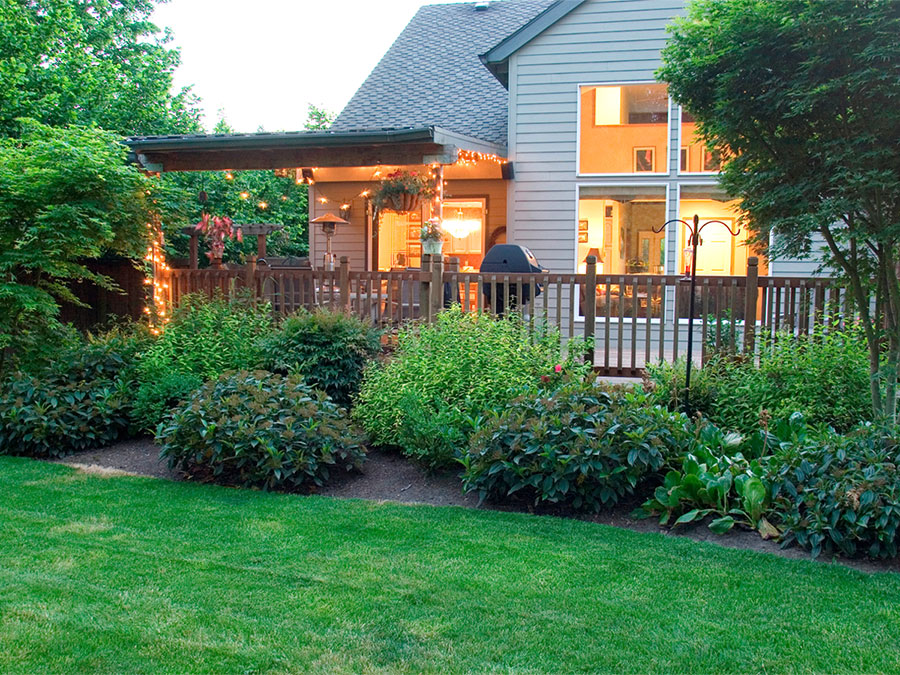 professional lawn care and bush landscaping in seekonk ma