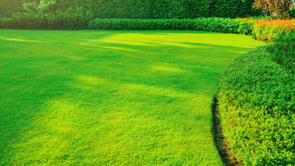 residential lawn care in taunton ma