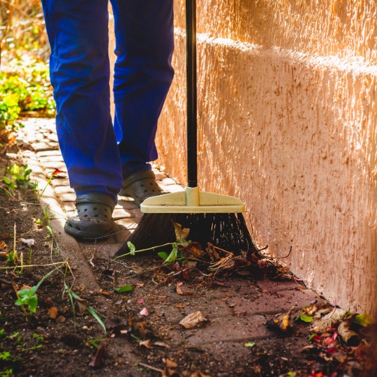 seasonal cleanup in fall and spring for taunton home
